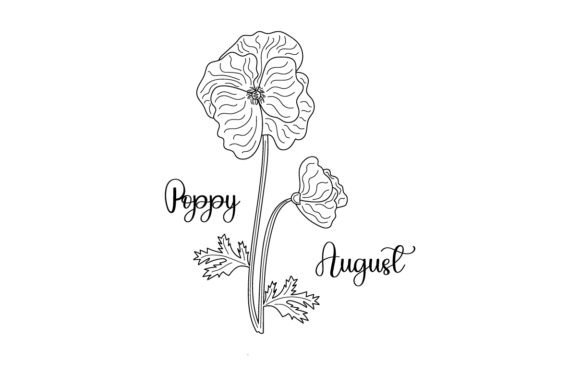 August Poppy Line Art Embroidery Review