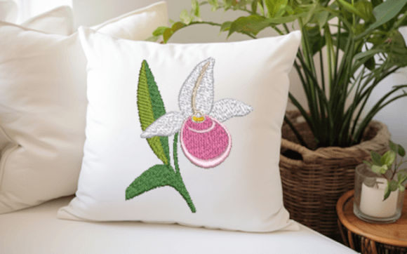 Lady Slipper Minnesota Orchid Review
