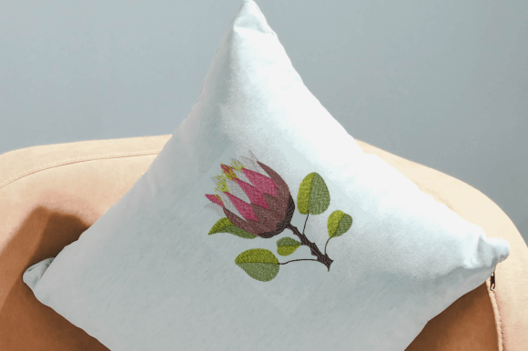 Protea Love: A Designer’s Holiday Review