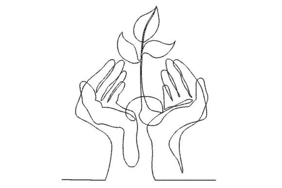 Review: Growing Plant in the Palms for Merch