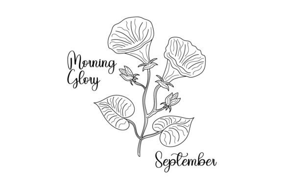September Morning Glory Embroidery Review